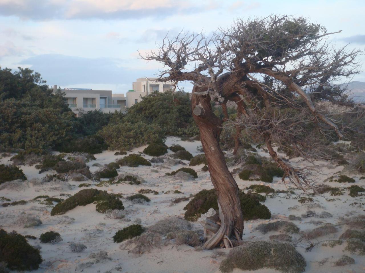 Double Bay Beach Hotel Elafonissos Bagian luar foto